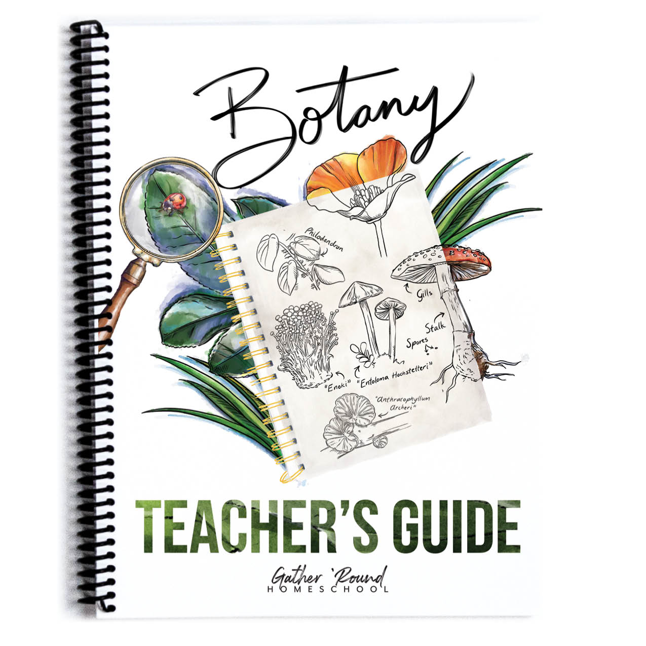 Botany homeschool unit study curriculum collection