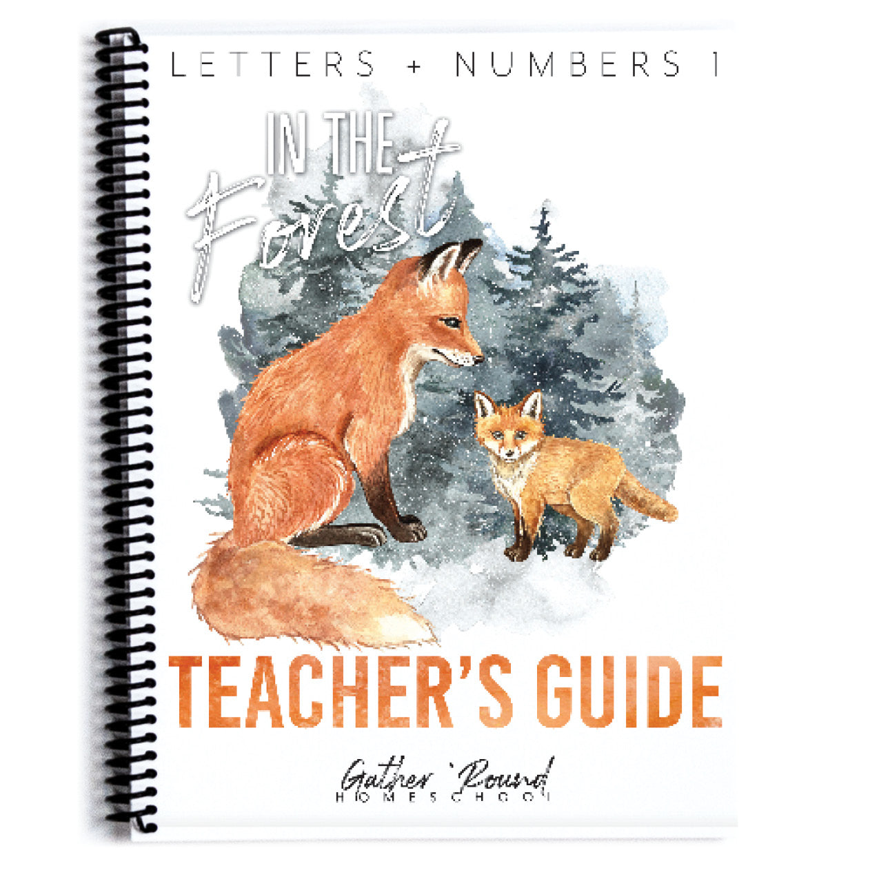 Letters and Numbers homeschool unit study curriculum collection