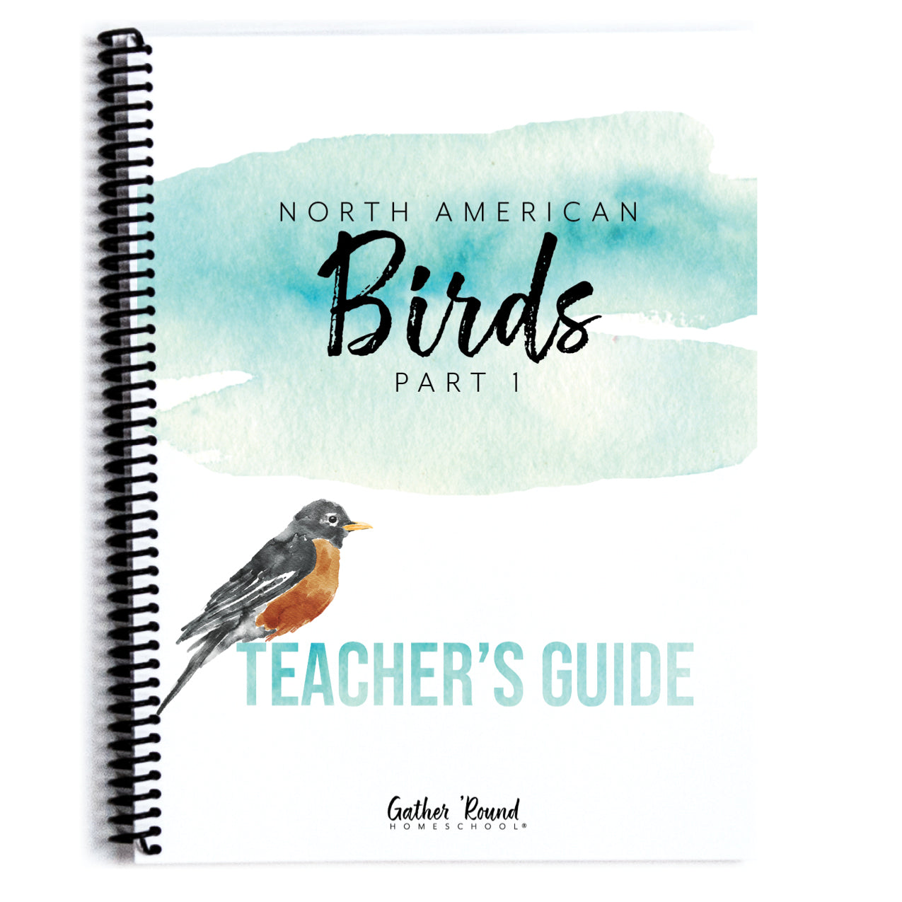 Christian homeschool curriculum written in in year 1