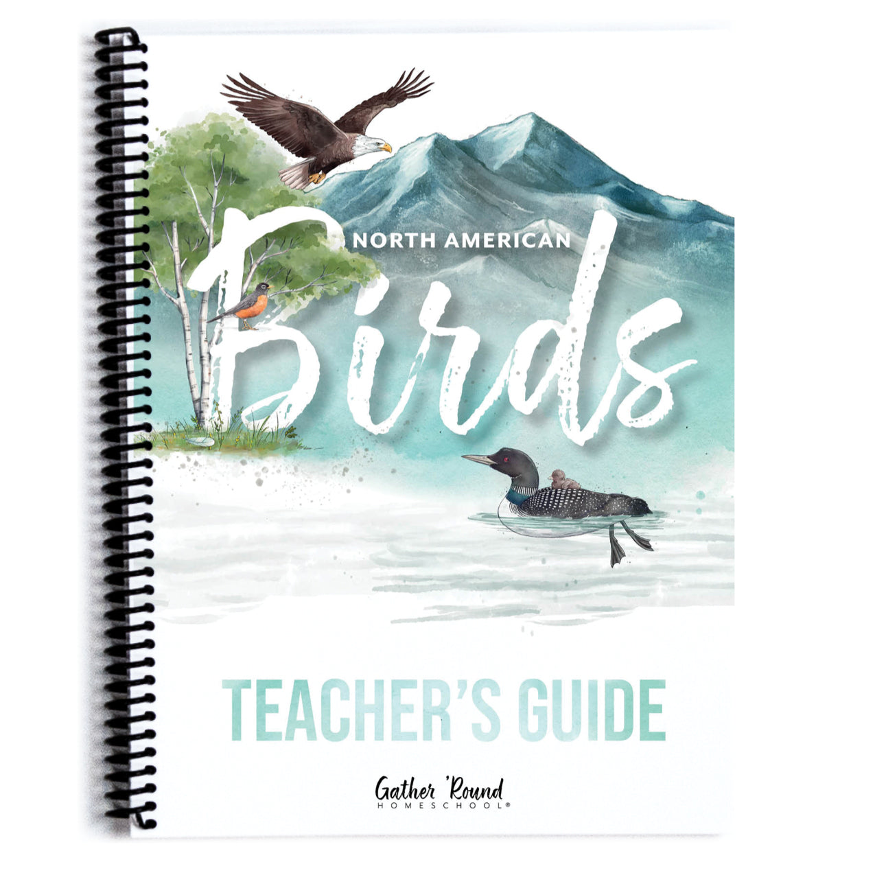 North American Birds 2 homeschool unit study curriculum collection
