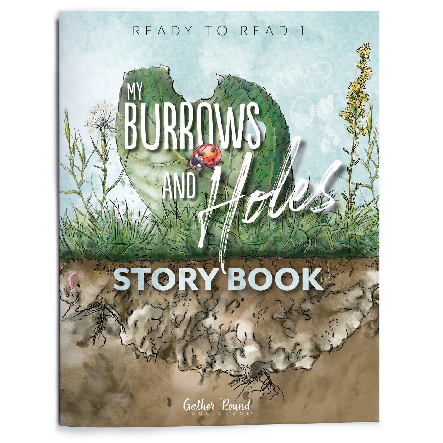 Christian homeschool curriculum collection best for teaching 3-5 year old students