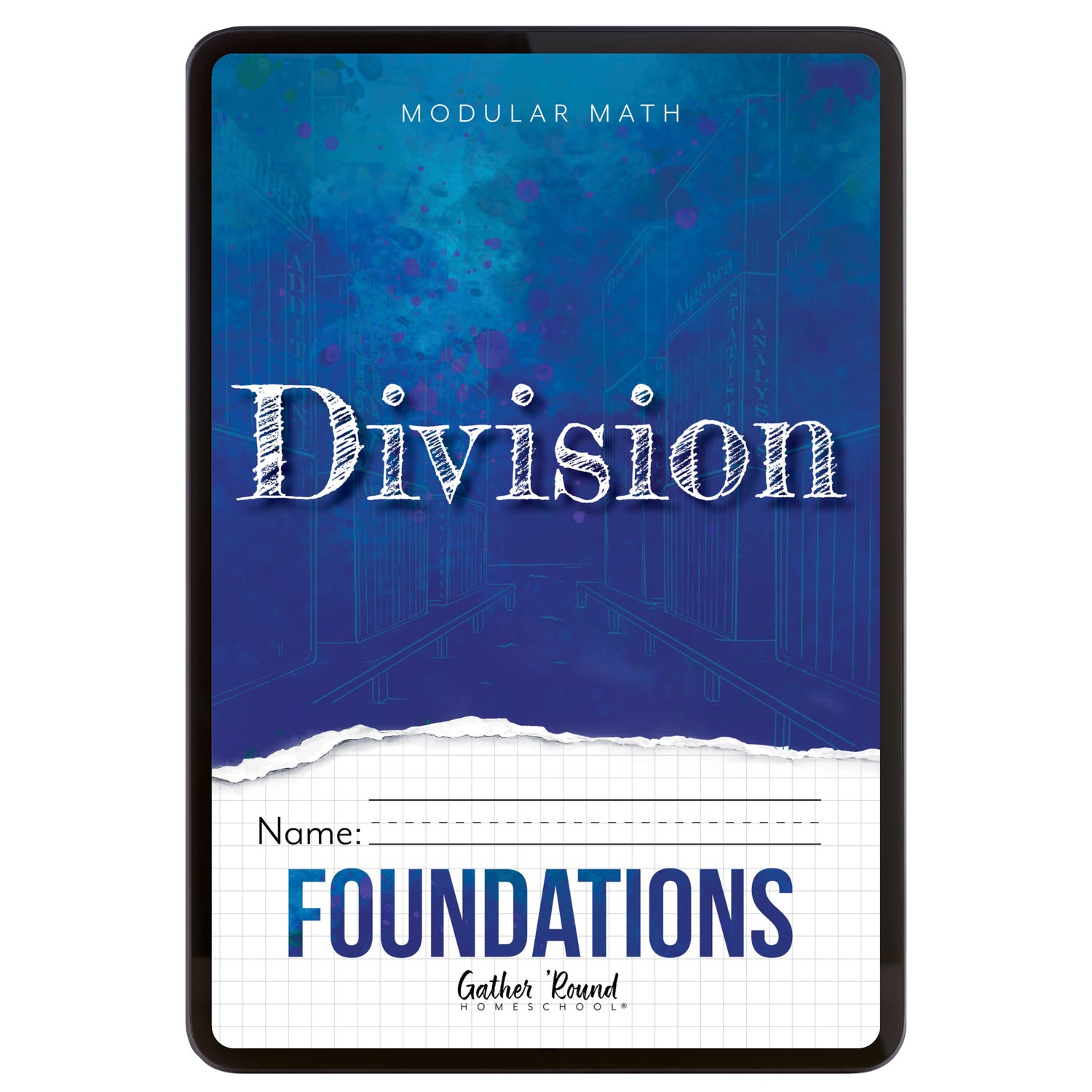 Modular Math: Division (Digital)