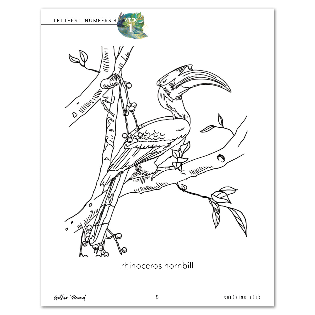 Letters + Numbers 3 In The Jungle Digital Coloring Book Rhinoceros Hornbill