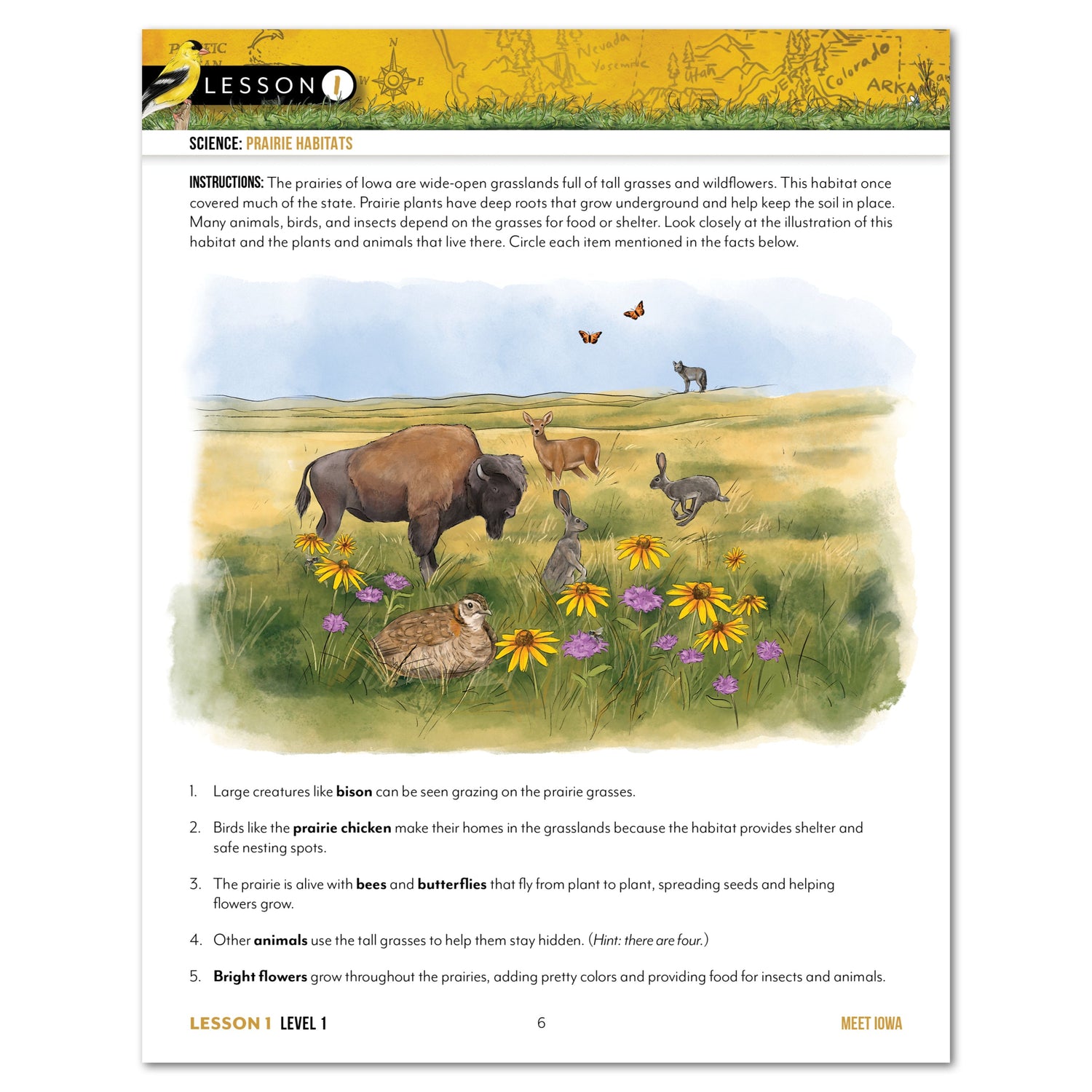 Iowa Fifty States Homeschool Unit Study Digital Student Book Level 1 Lesson 1 Page