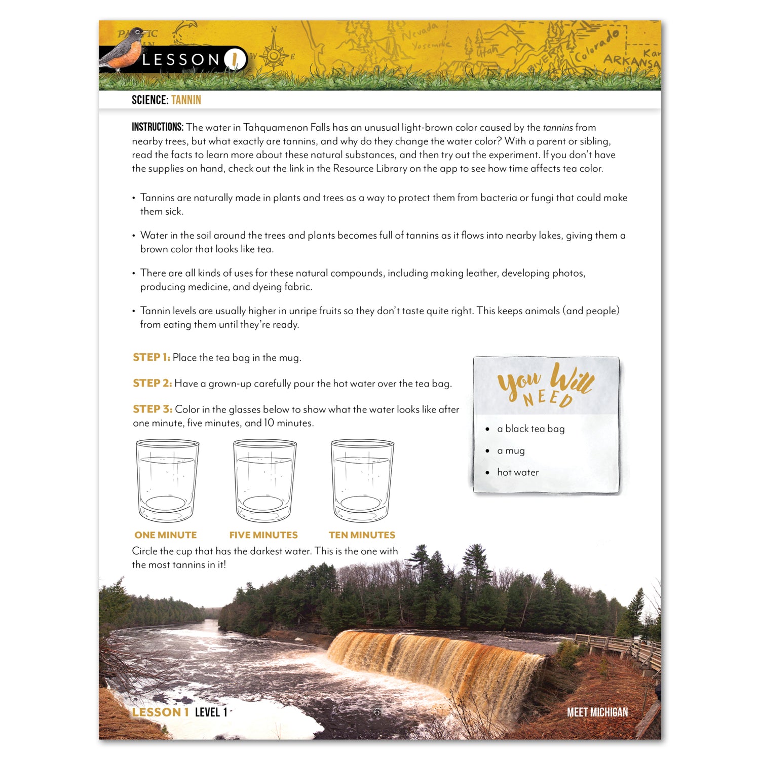 Educational worksheet about tannins with a scenic waterfall image.