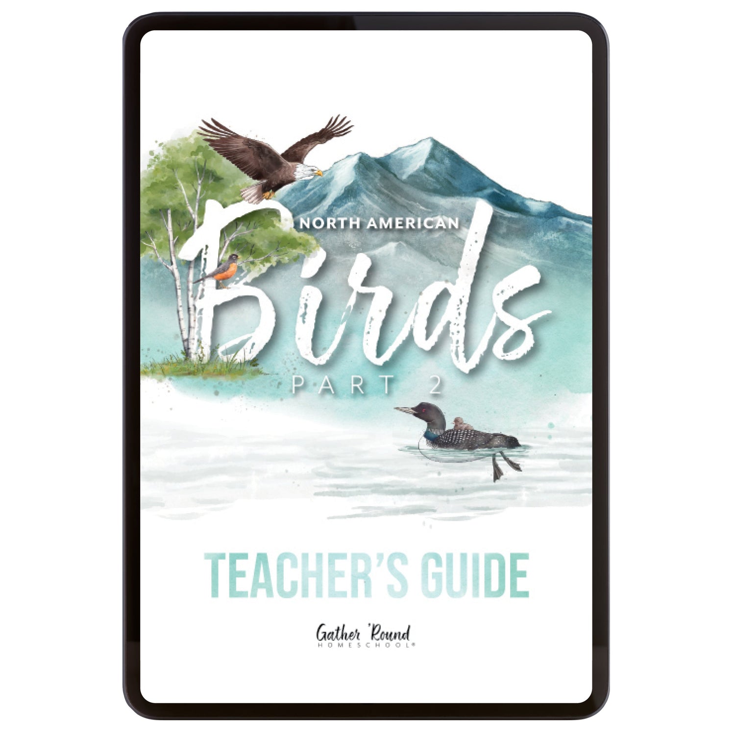 North American Birds part two homeschool unit study digital teacher's guide