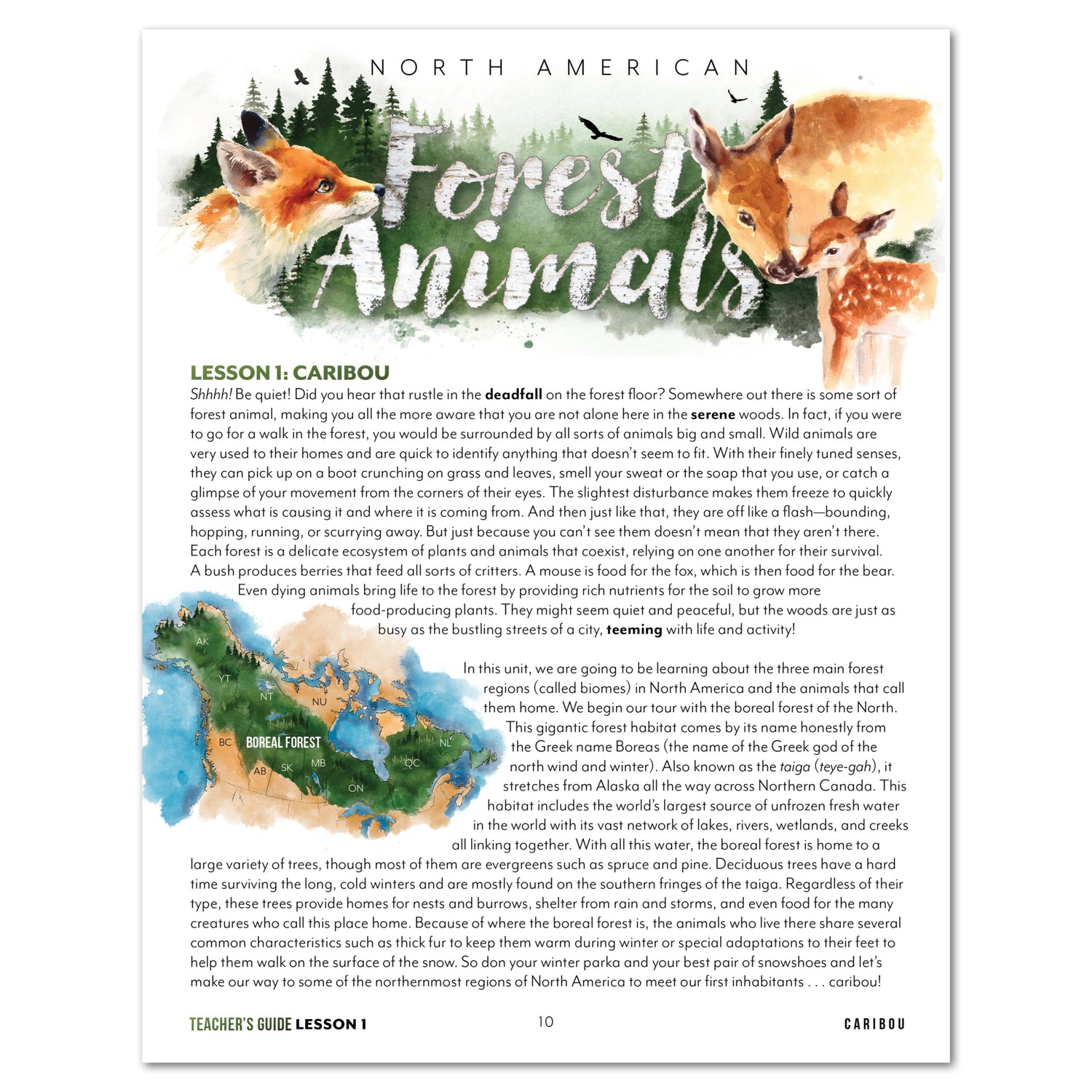 North American Forest Animals homeschool unit study digital teacher guide lesson one