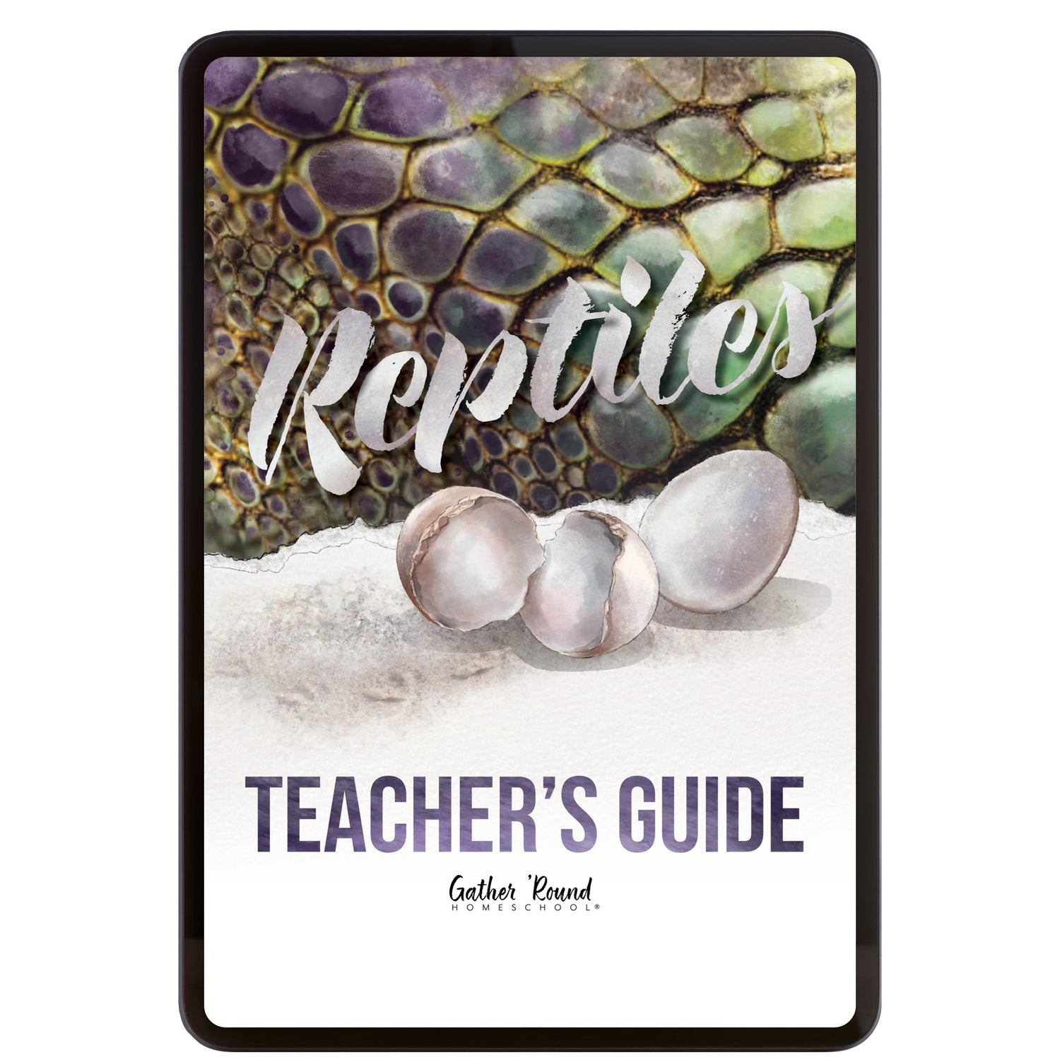 Reptiles homeschool unit study digital teacher guide