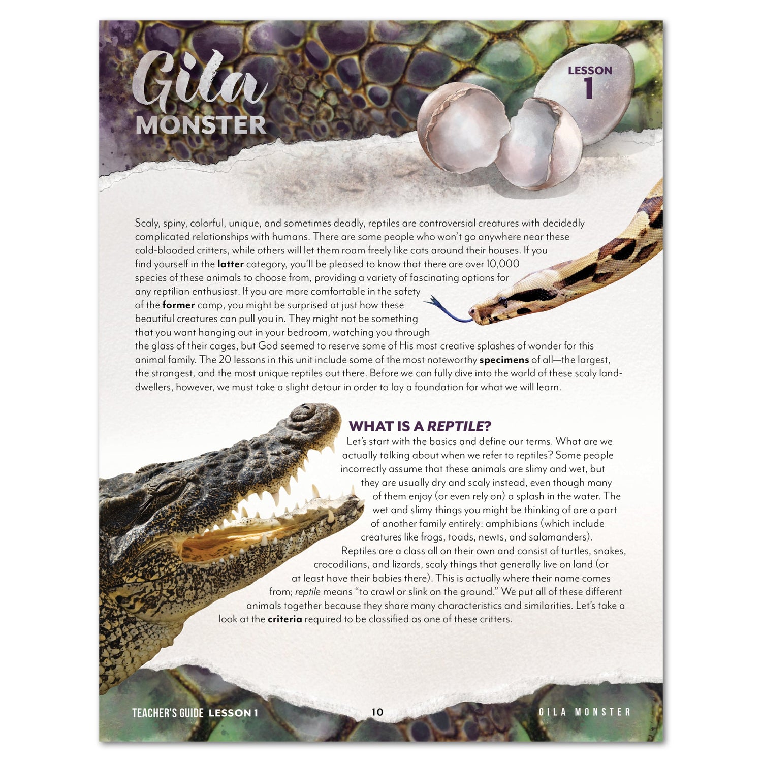 Reptiles homeschool unit study digital teacher guide lesson one Gila monster