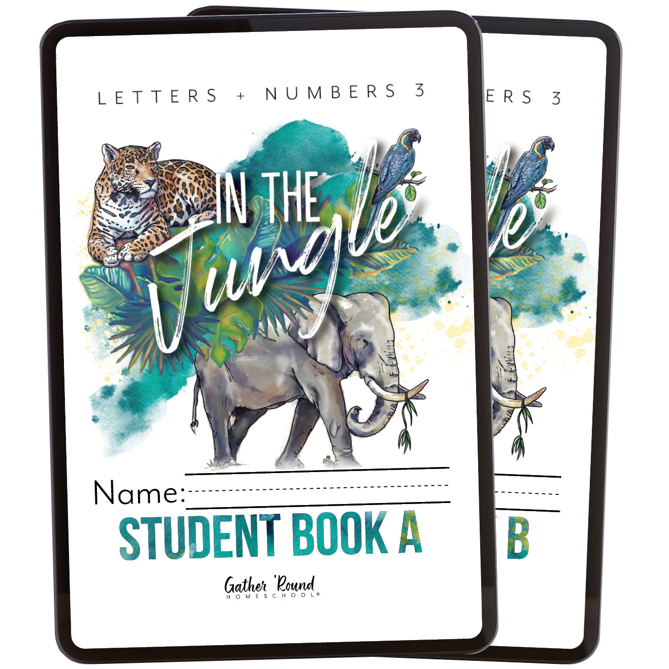 Letters + Numbers 3 In The Jungle Digital Bundle Student Book A and Student Book B