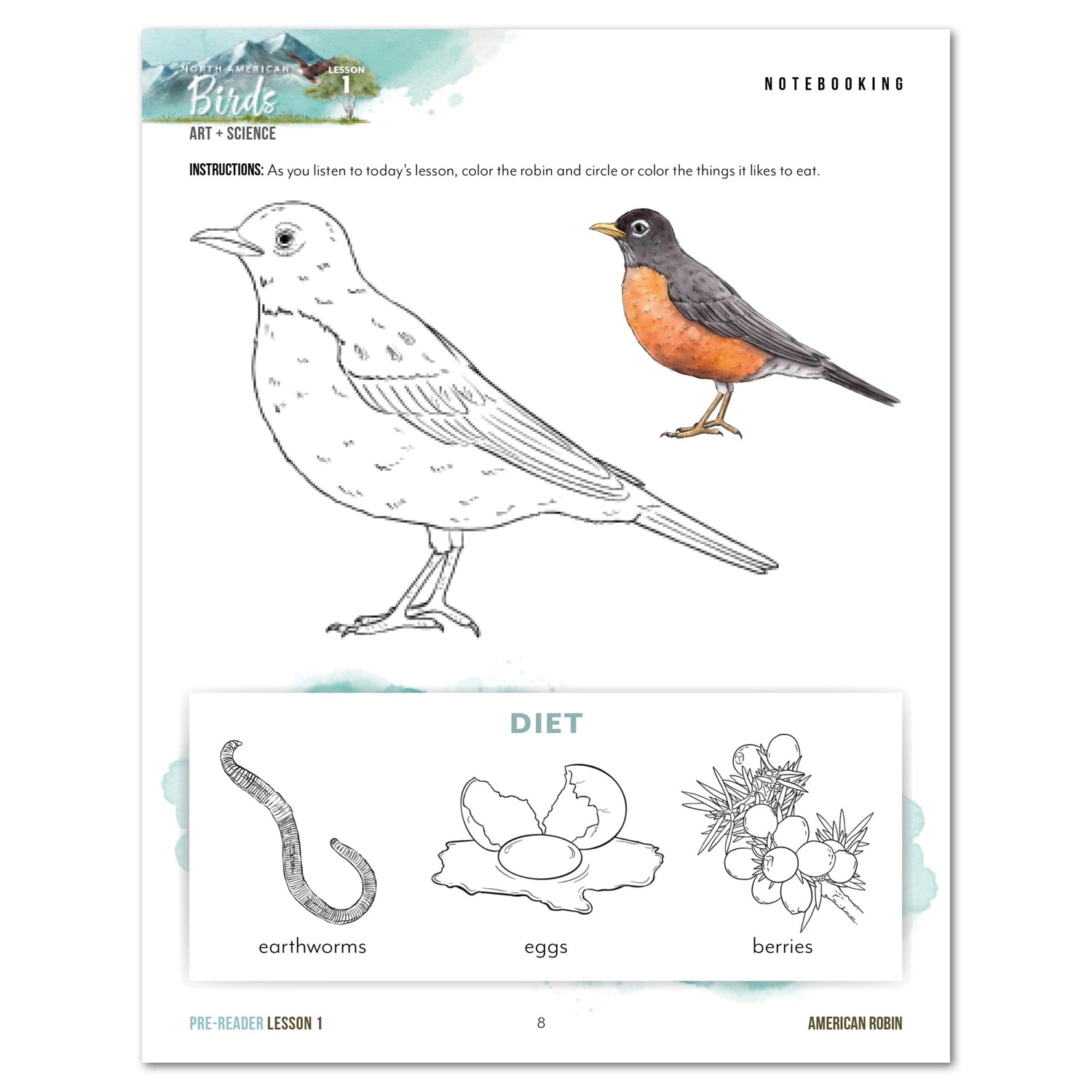 North American Birds part two homeschool unit study digital student workbook pre-reader with teacher's guide bundle lesson one