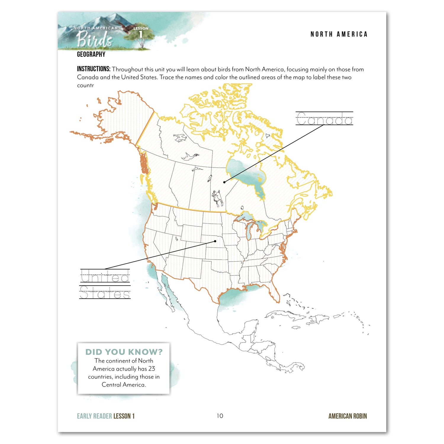 North American Birds part two homeschool unit study digital student workbook early reader with teacher's guide bundle lesson one