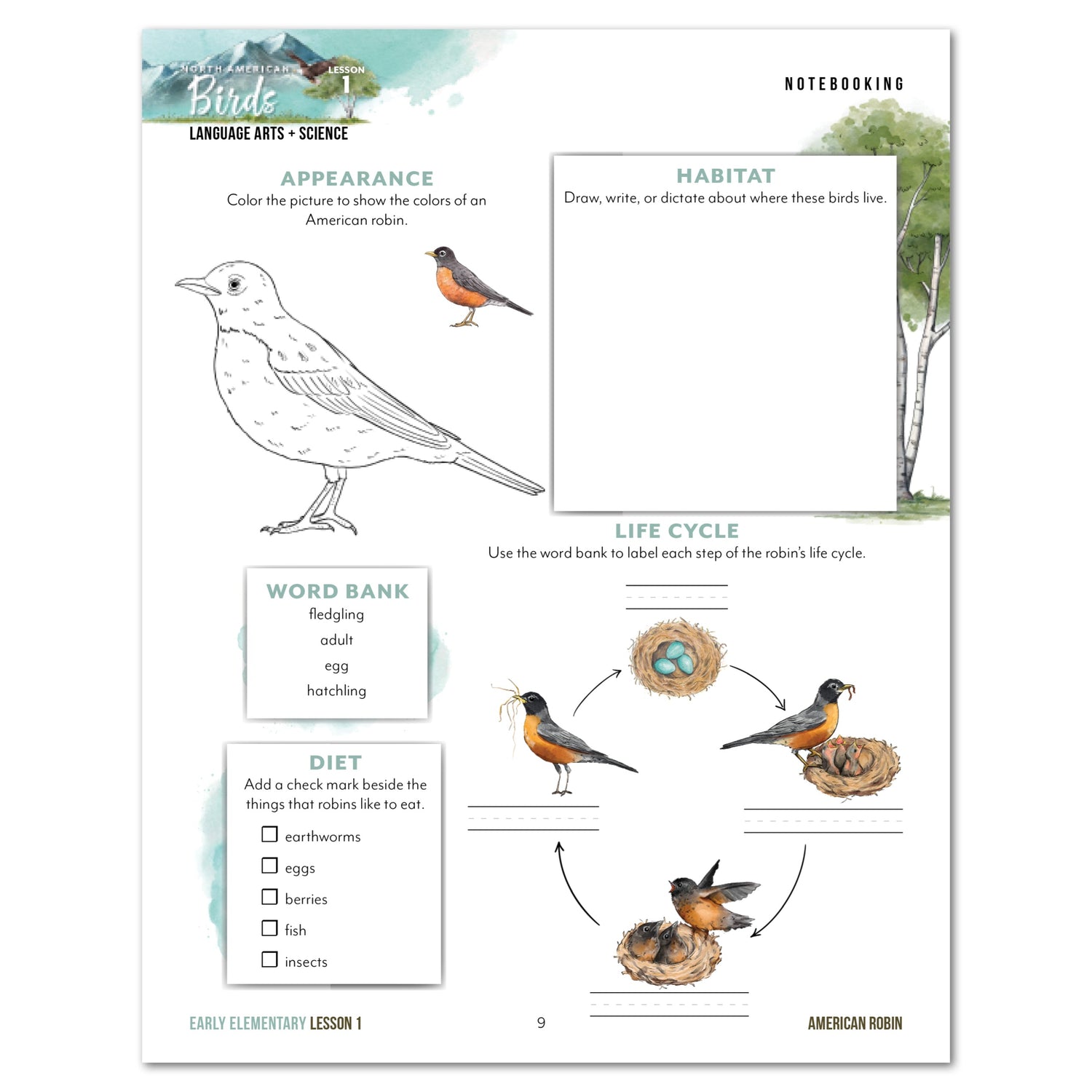 North American Birds part two homeschool unit study digital student workbook early elementary with teacher's guide bundle lesson one