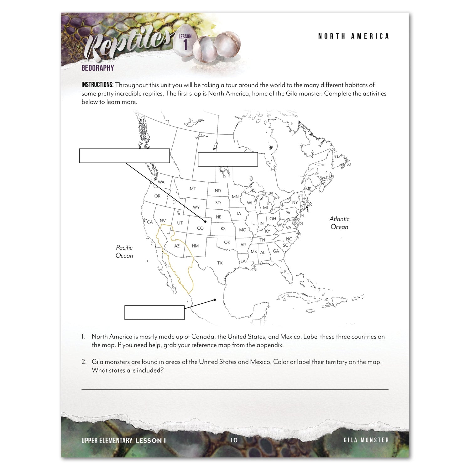 Reptiles homeschool unit study digital student workbook Upper Elementary and Teacher's Guide bundle North America worksheet