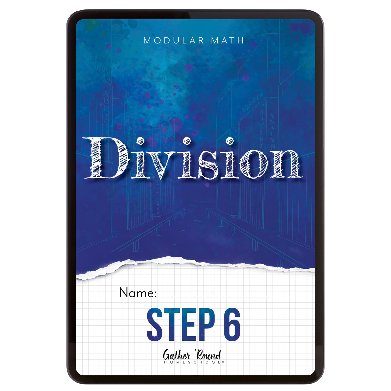 Modular Math: Division (Digital)