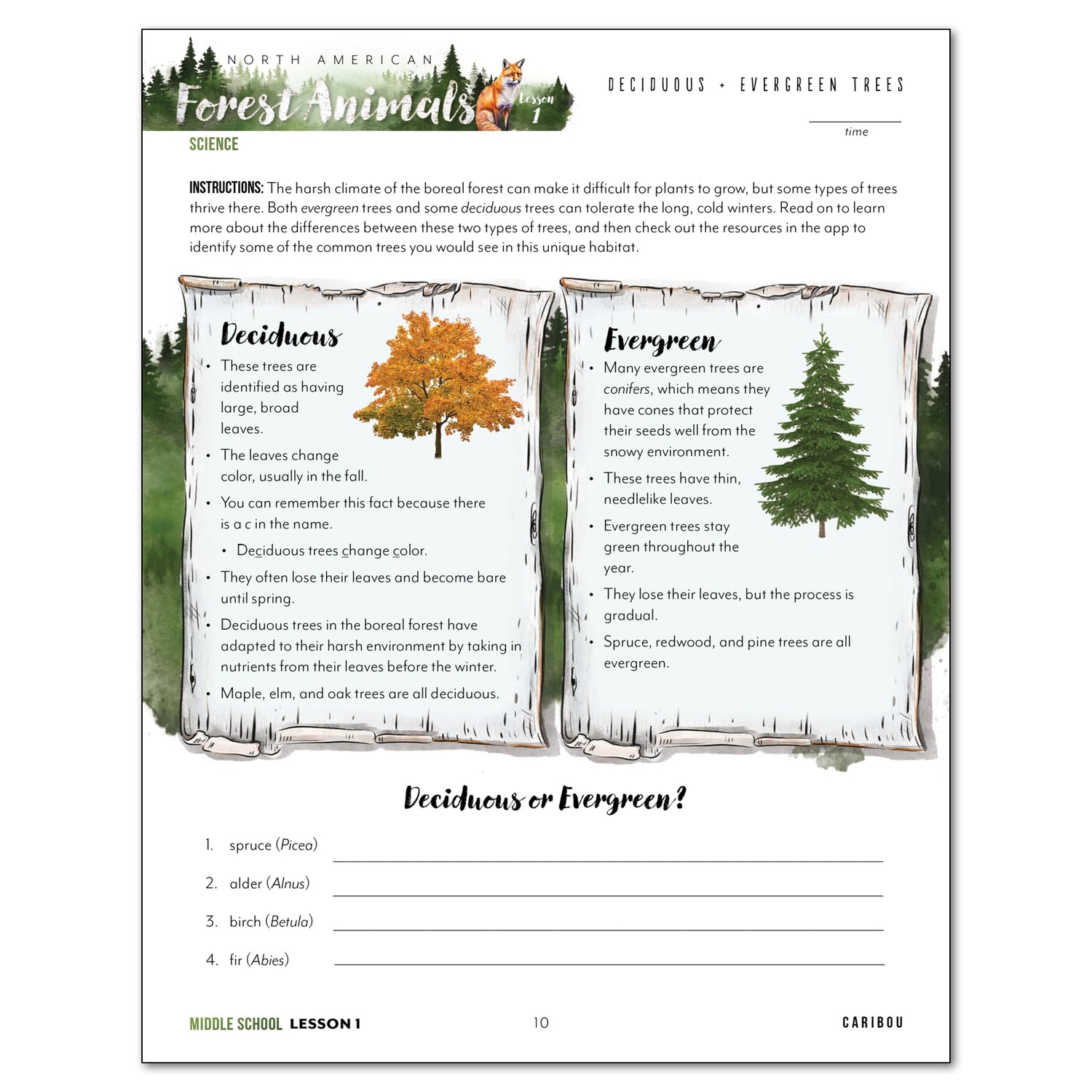 North American Forest Animals homeschool unit study digital student workbook in middle school with teacher's guide bundle lesson one