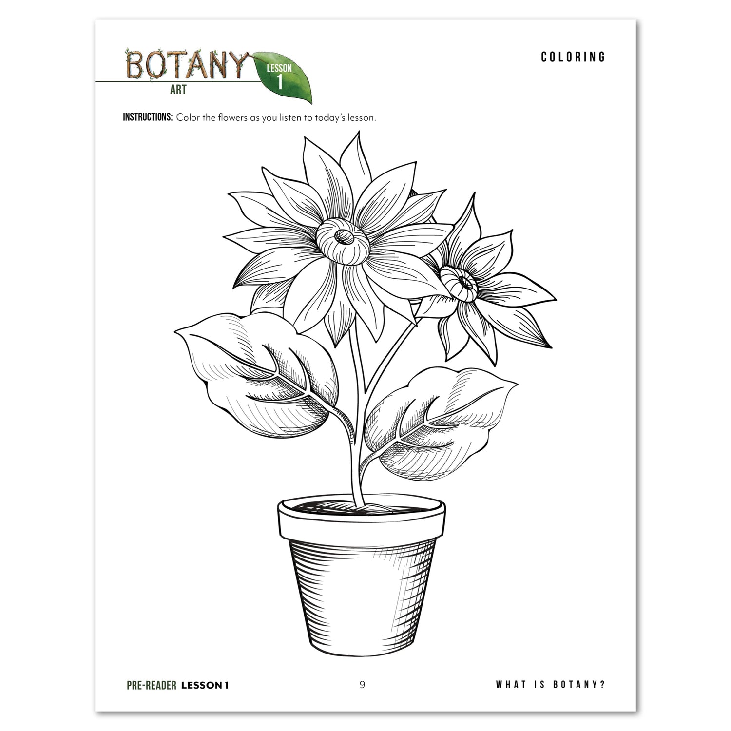 Botany Homeschool Unit Study Digital Pre-Reader Daily Lesson 1 Coloring