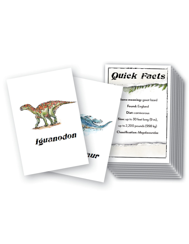 Dinosaur Printed Flashcards