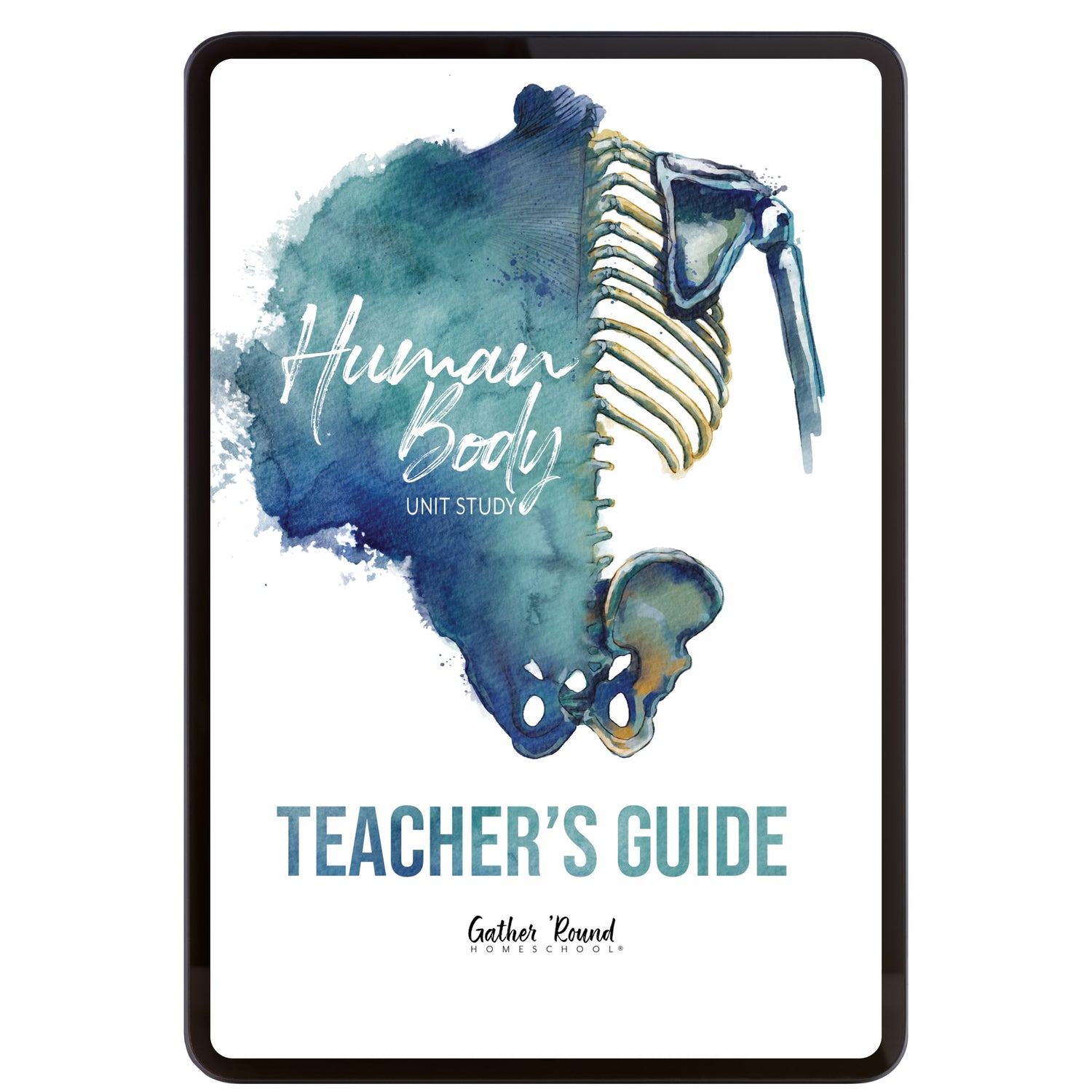 Human Body homeschool unit study digital teacher guide
