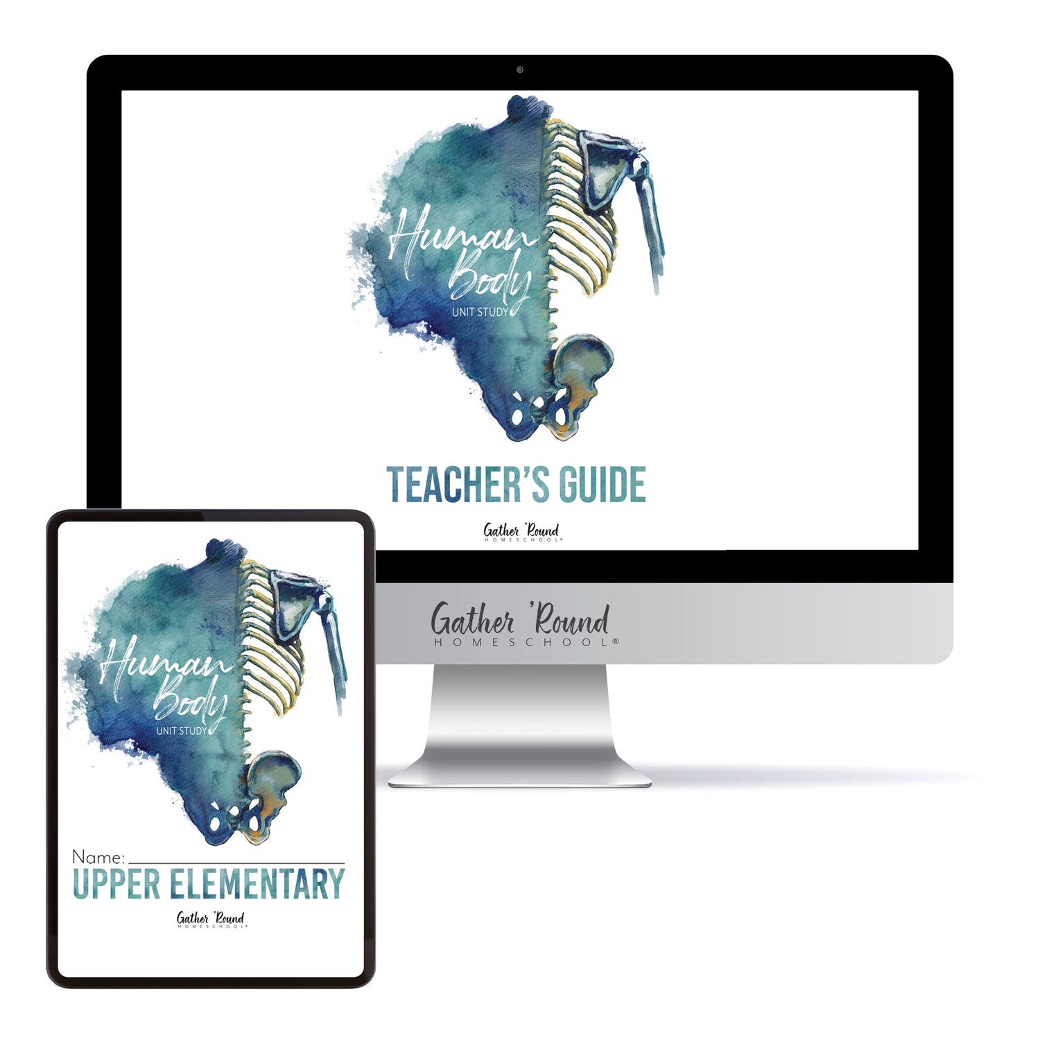 Human Body homeschool unit study digital student workbook upper elementary with teacher's guide bundle