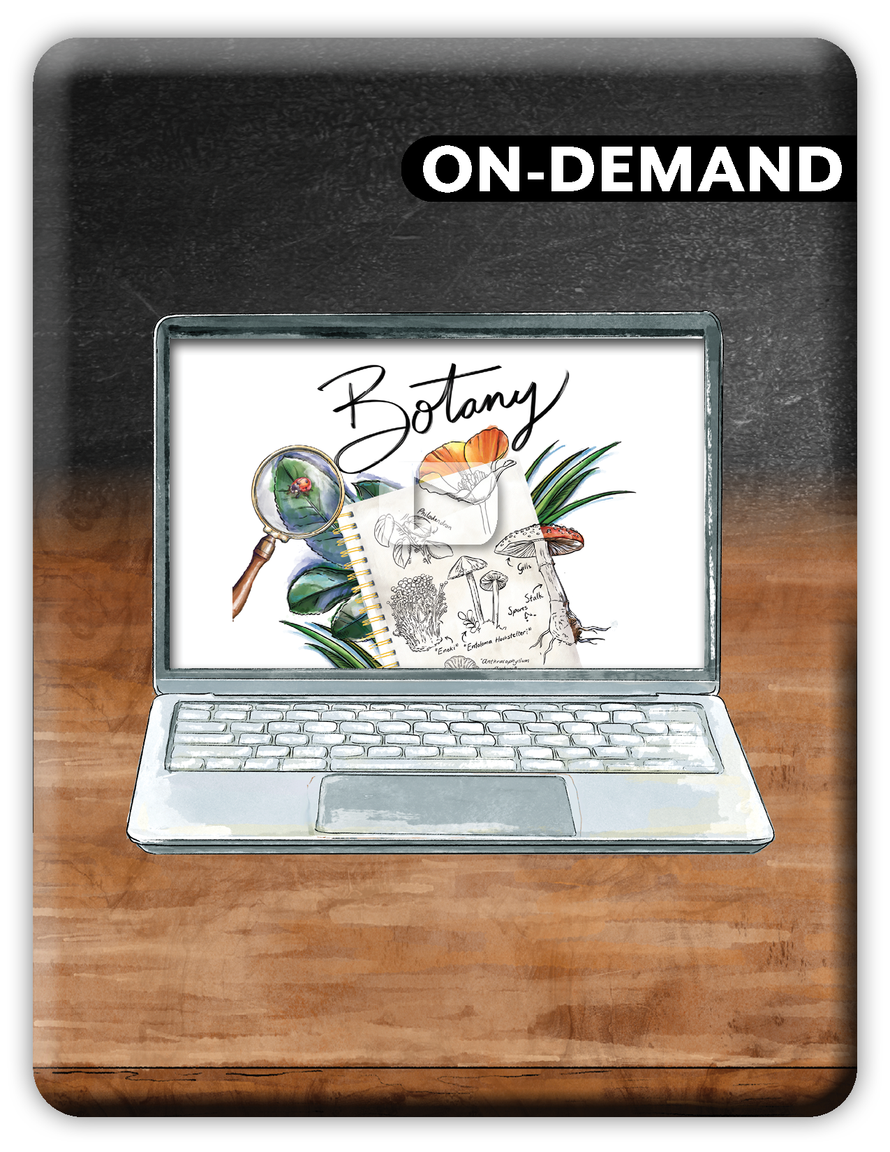 Laptop on a wooden surface with 'On-Demand Botany' displayed on the screen.