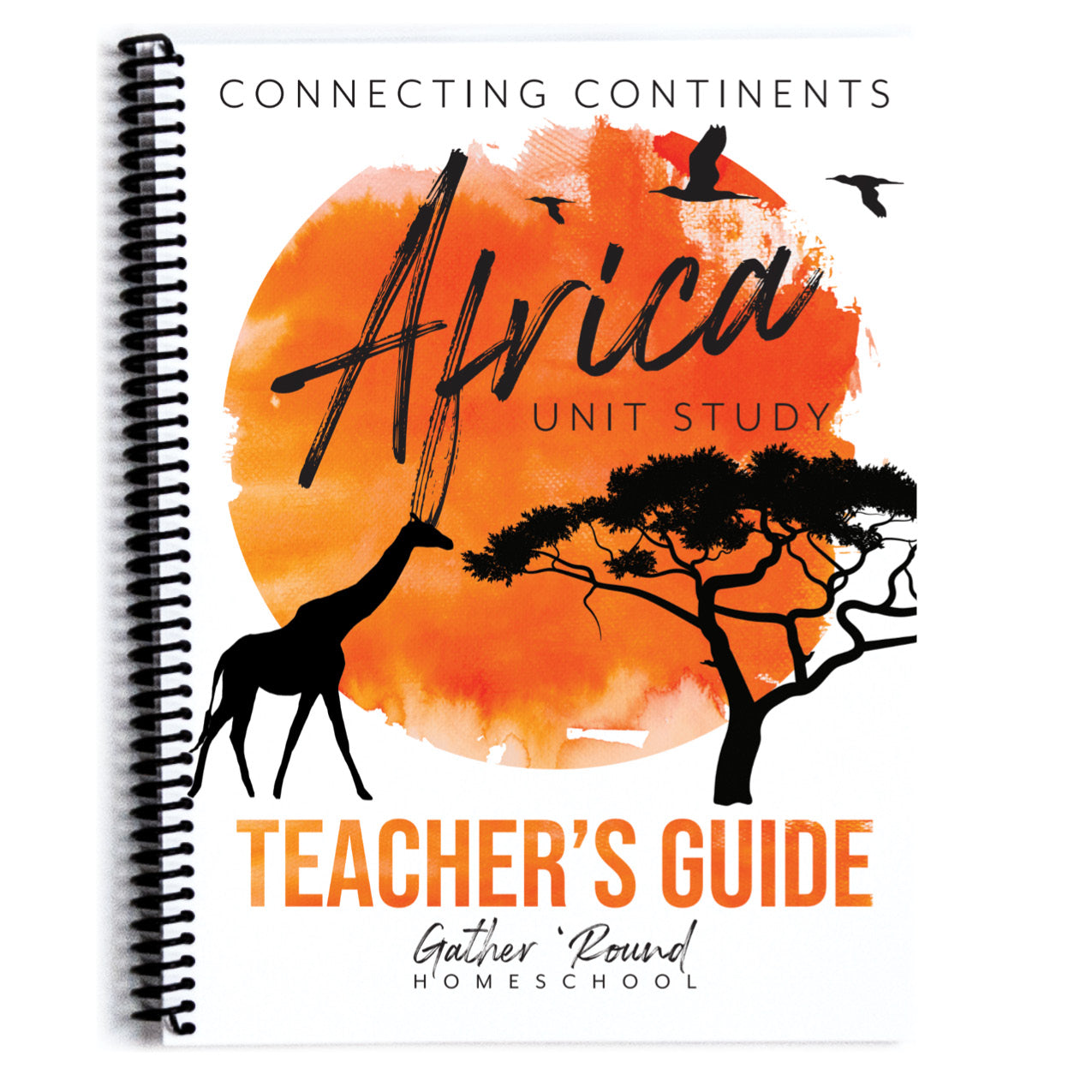 Africa homeschool unit study curriculum collection