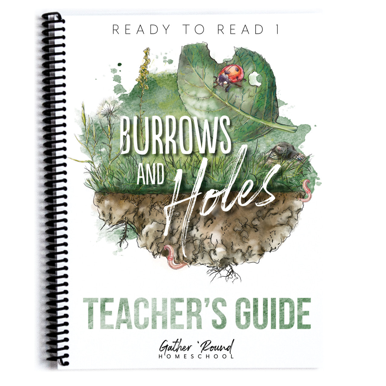 Ready to Read 1 homeschool unit study curriculum collection
