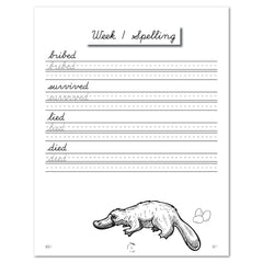 Australia + Oceania Homeschool Study Unit Digital Cursive Book Week 1 Spelling