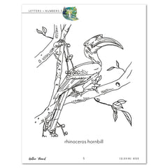 Letters + Numbers 3 In The Jungle Digital Coloring Book Rhinoceros Hornbill