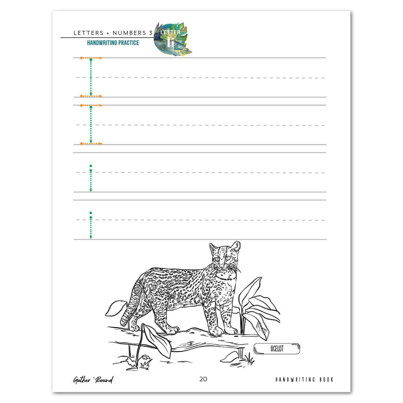 Letters + Numbers 3 In The Jungle Digital Handwriting Book Letter Ii Practice