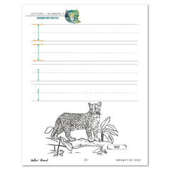Letters + Numbers 3 In The Jungle Digital Handwriting Book Letter Ii Practice