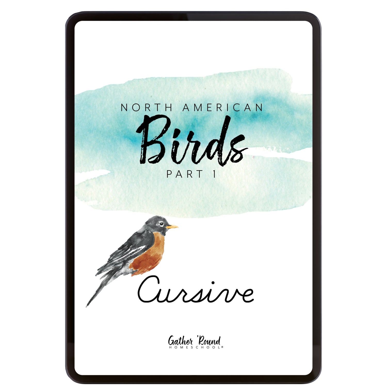 North America Birds part 1 homeschool unit study digital student workbook in cursive