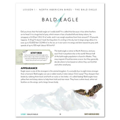 North America Birds part 1 homeschool unit study digital Teacher's Guide lesson one