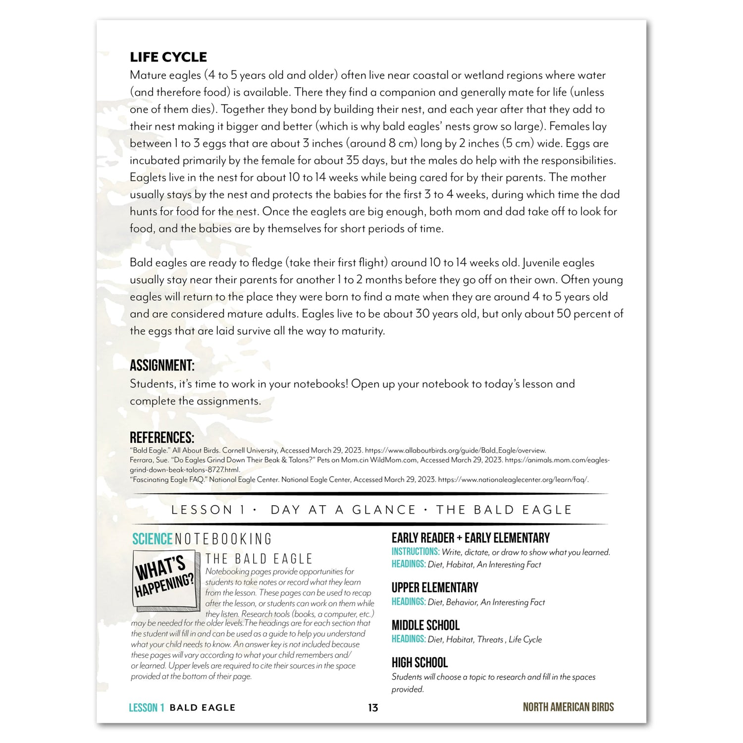 North America Birds part 1 homeschool unit study digital Teacher's Guide lesson one part two