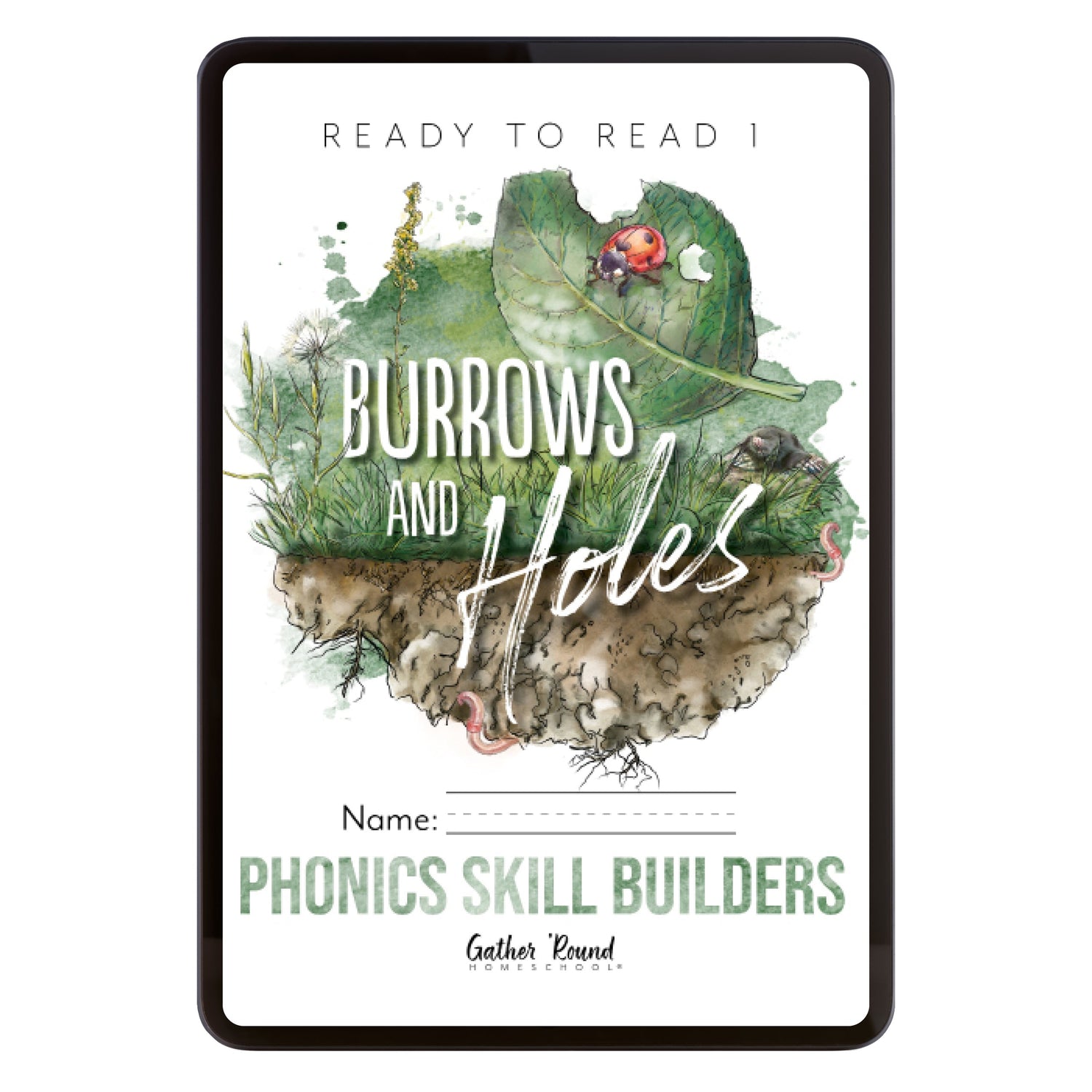 Ready to Read 1 Burrows and Holes Homeschool Unit Study Digital Phonics Skill Builders