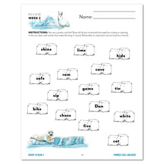 Ready to Read 3 At Ice + Snow Homeschool Unit Study Digital Phonics Skill Builders Week 2 Review