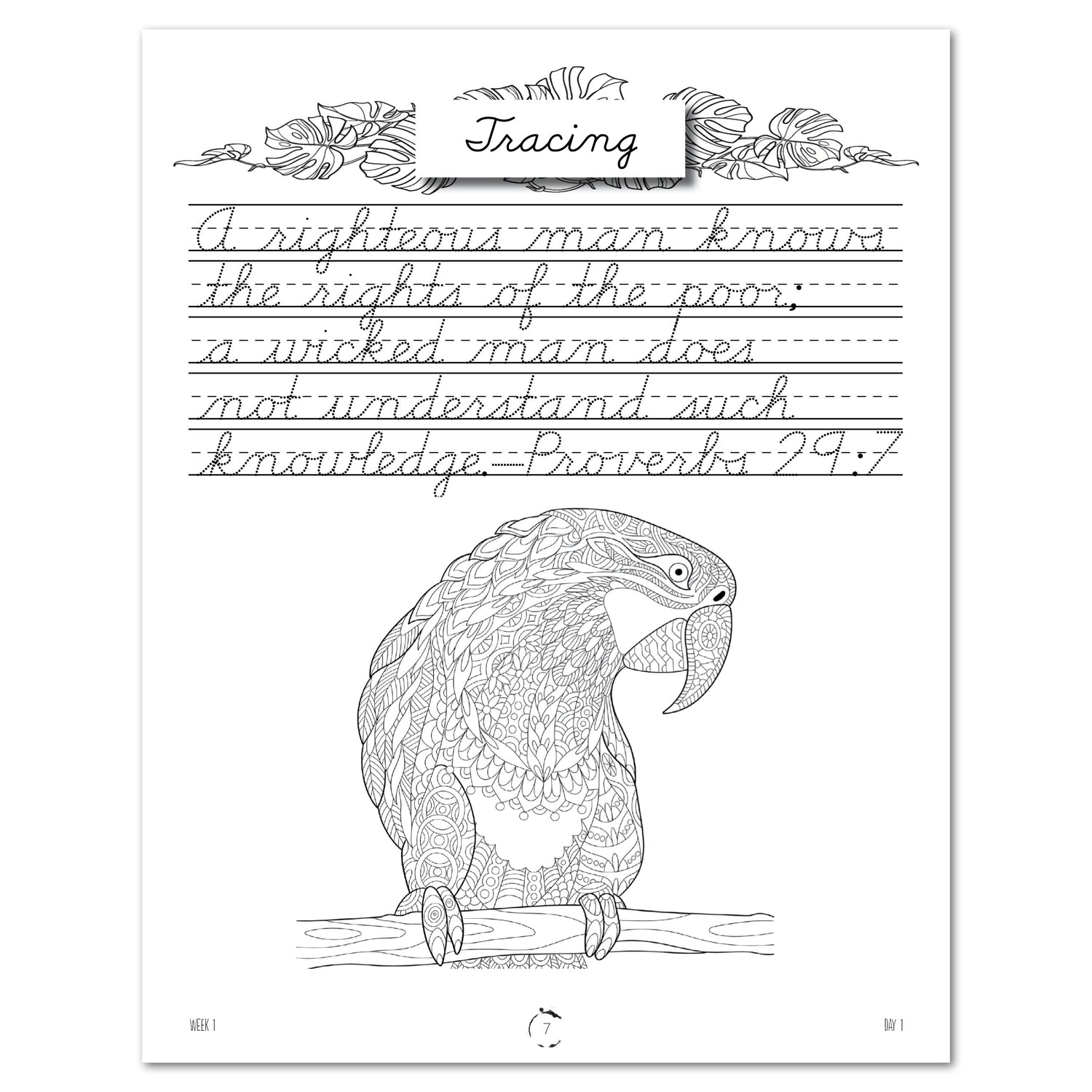 South America homeschool unit study digital student workbook, Cursive workbook tracing