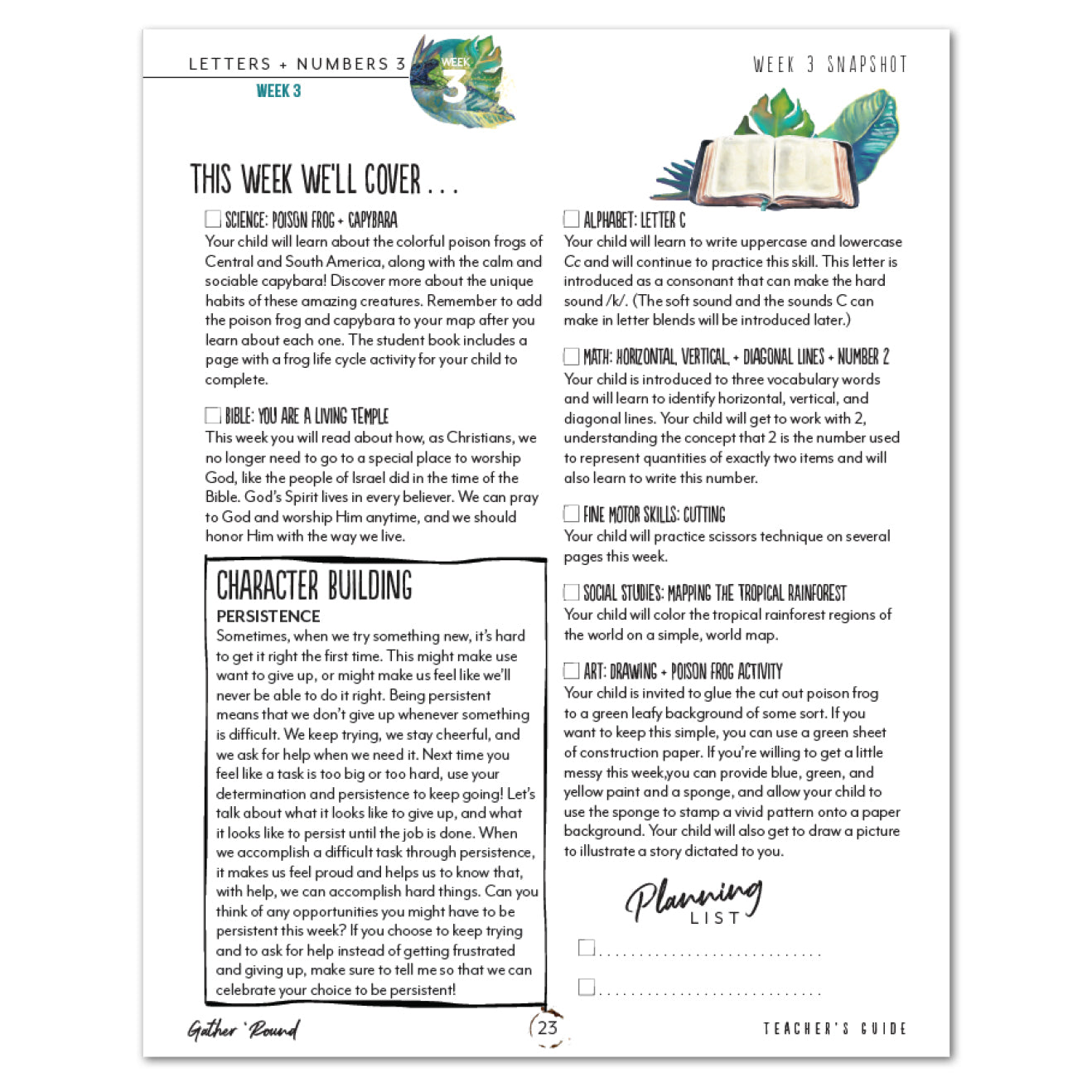 Letters + Numbers 3 In The Jungle Digital Teacher's Guide Wekk 3 Snapshot