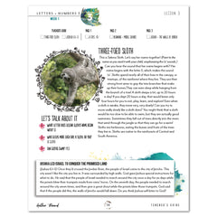 Letters + Numbers 3 In The Jungle Digital Teacher's Guide Week 1 Lesson 3 Three-Toes-Sloth