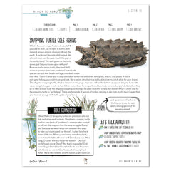 Ready to Read 2 At The Pond Homeschool Unit Study Digital Teacher's Guide Week 3 Lesson 10