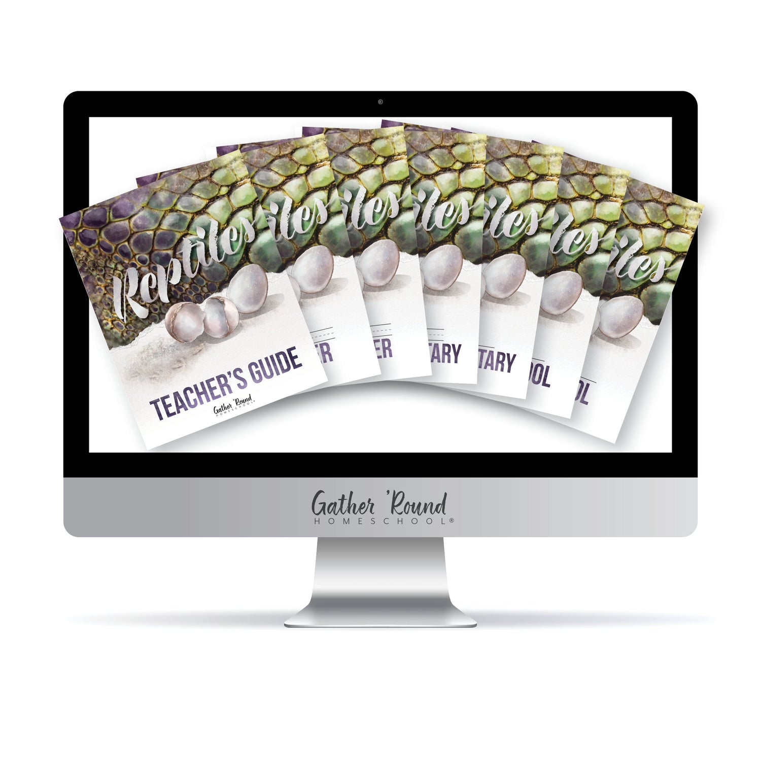 Reptiles homeschool unit study digital student workbook  in all levels and Teacher's Guide bundle