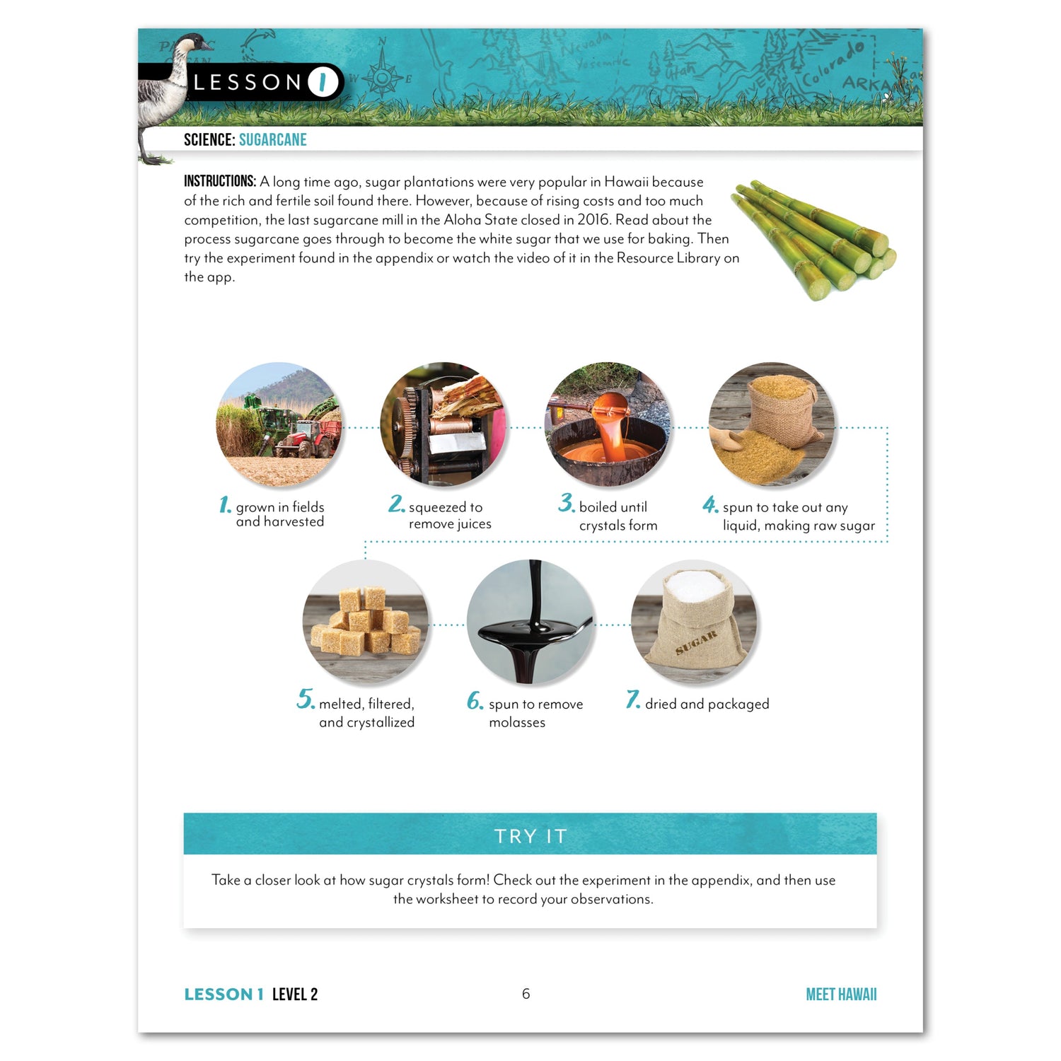 Hawaii Fifty States Homeschool Unit Study Digital Student Book Level 2 Lesson 1 Page