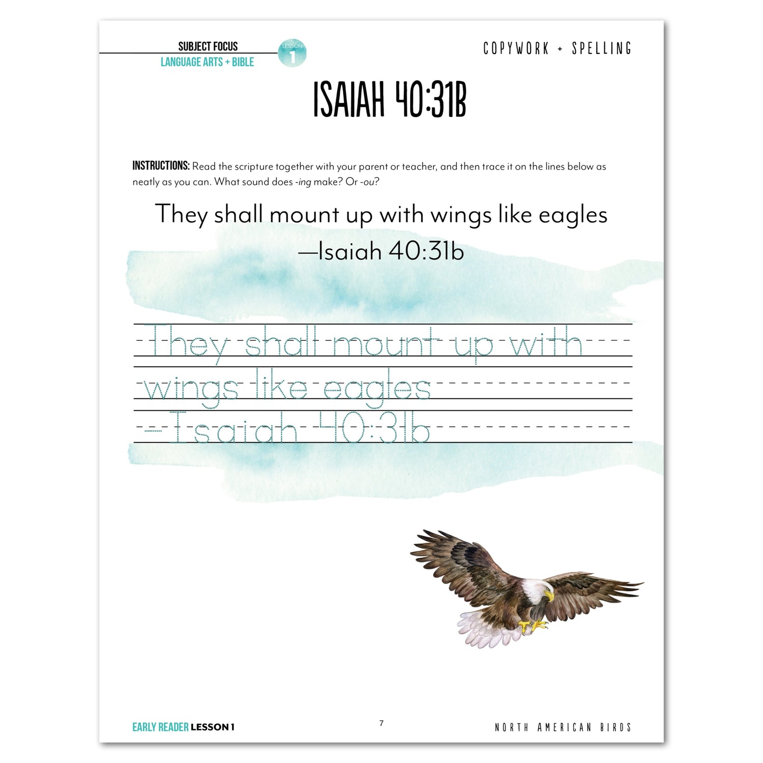 North America Birds part 1 homeschool unit study digital student workbook Early Reader with Teacher's Guide lesson one
