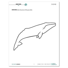 North America homeschool unit study digital student workbook for pre-reader with teacher's guide lesson one