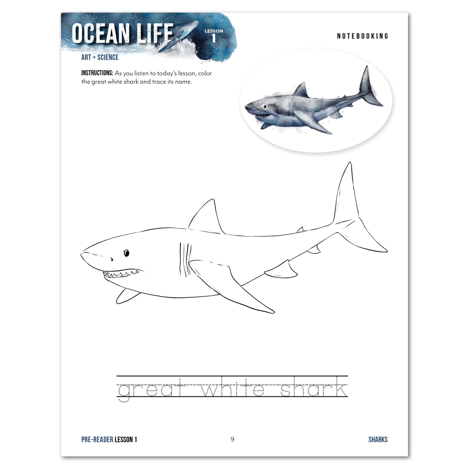 Ocean Life homeschool unit study digital student workbook for pre-reader with teacher's guide bundle  lesson one 