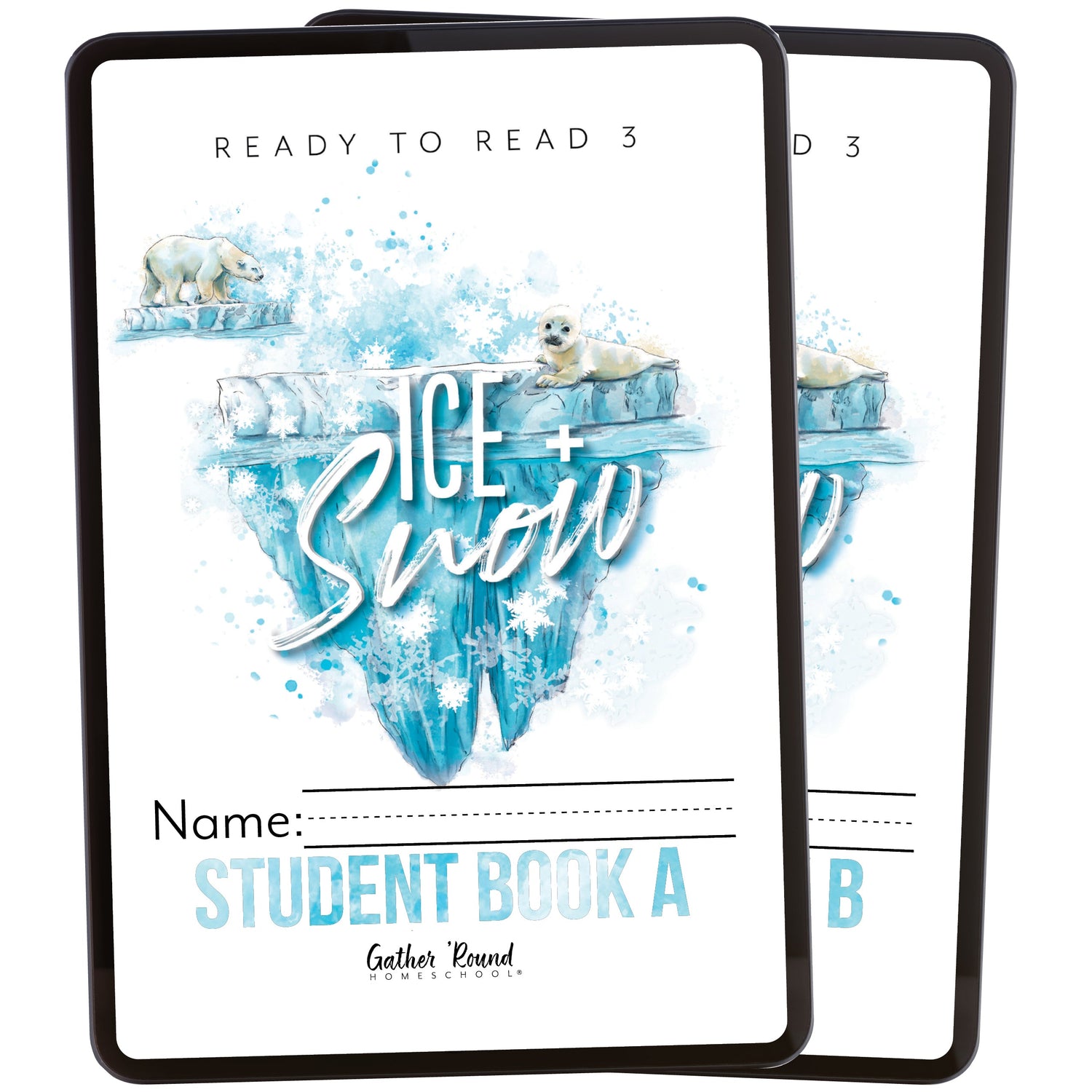 Ready to Read 3 At Ice + Snow Homeschool Unit Study Digital Bundle Student Book A and Student Book B