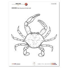South America homeschool unit study digital student workbook in Pre-Reader with Teacher's Guide combo coloring worksheet