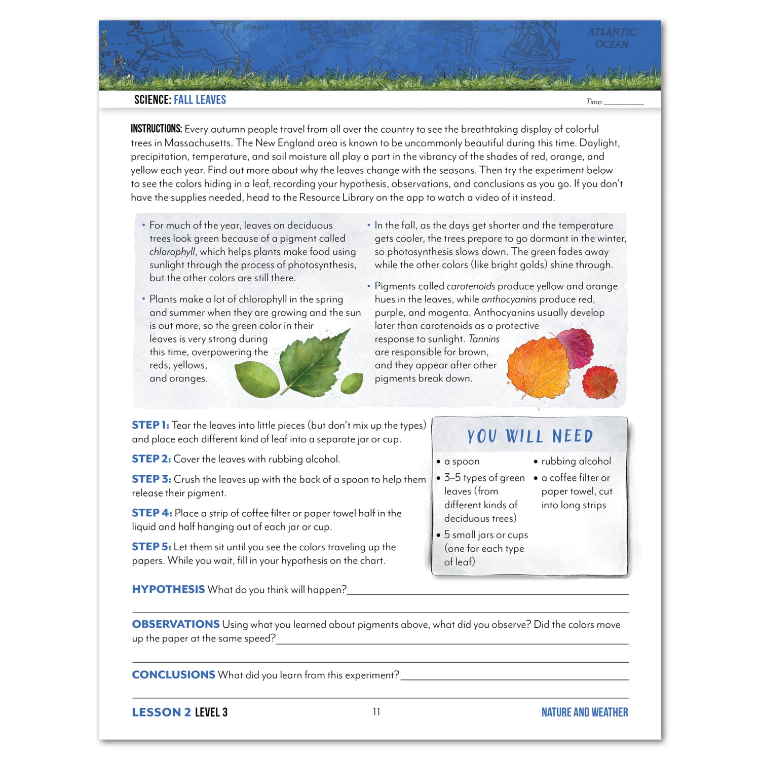 Educational worksheet on fall leaves with text and illustrations
