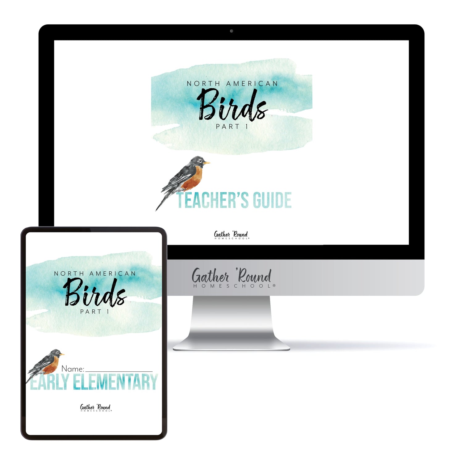 North America Birds part 1 homeschool unit study digital student workbook Early Elementary with Teacher's Guide 