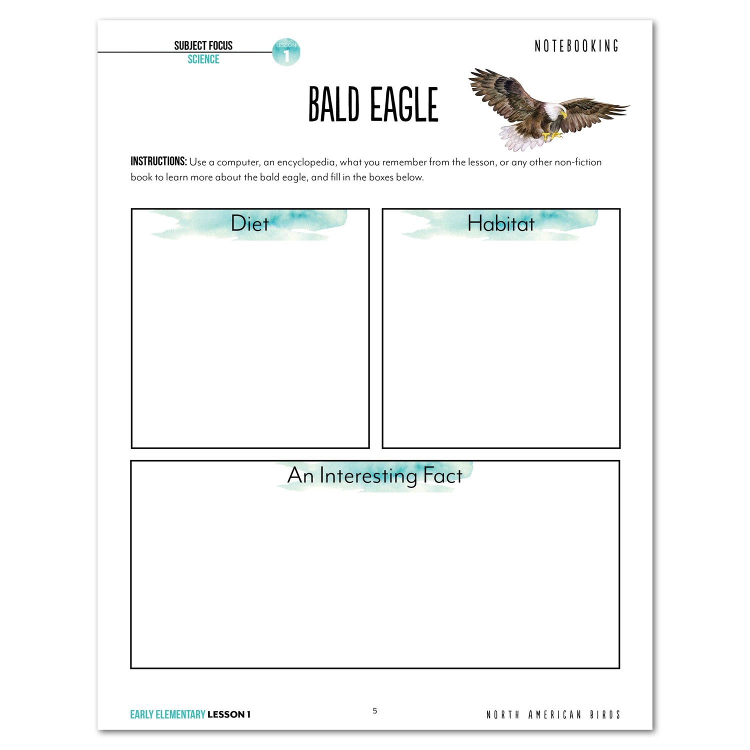 North America Birds part 1 homeschool unit study digital student workbook Early Elementary with Teacher's Guide lesson one